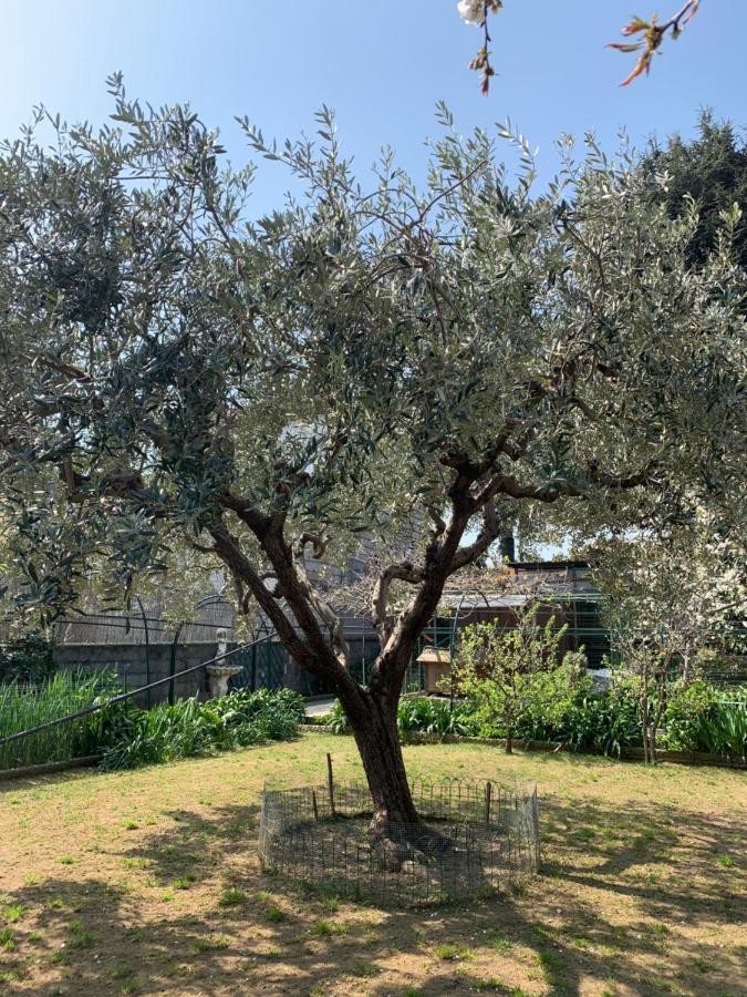 סאבונה Resort Villa Rosa Maria מראה חיצוני תמונה