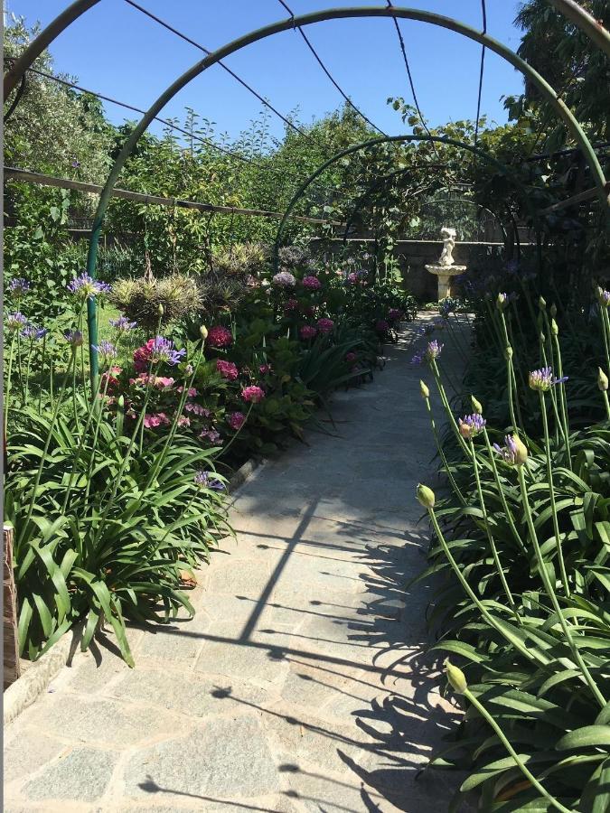 סאבונה Resort Villa Rosa Maria מראה חיצוני תמונה